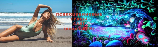 винт Бородино