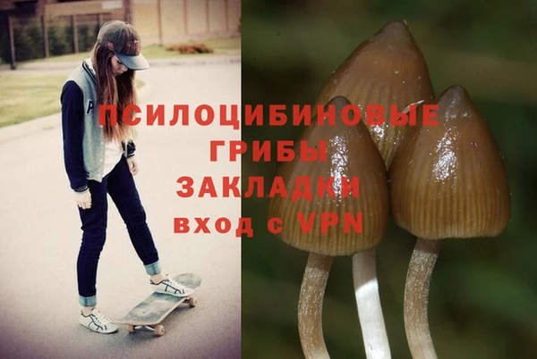 2c-b Лиски