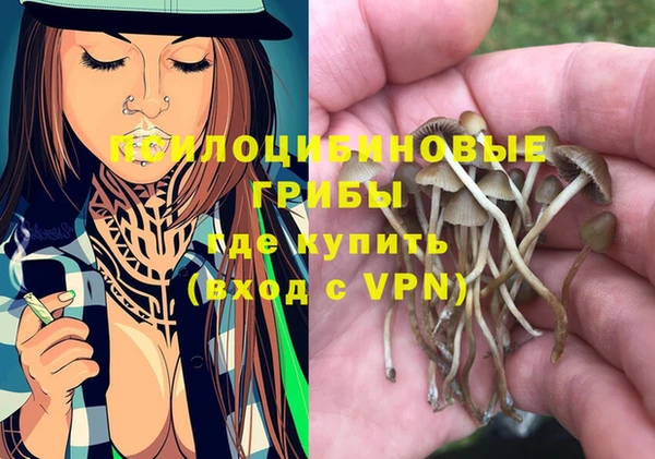 мяу мяу мука Майский